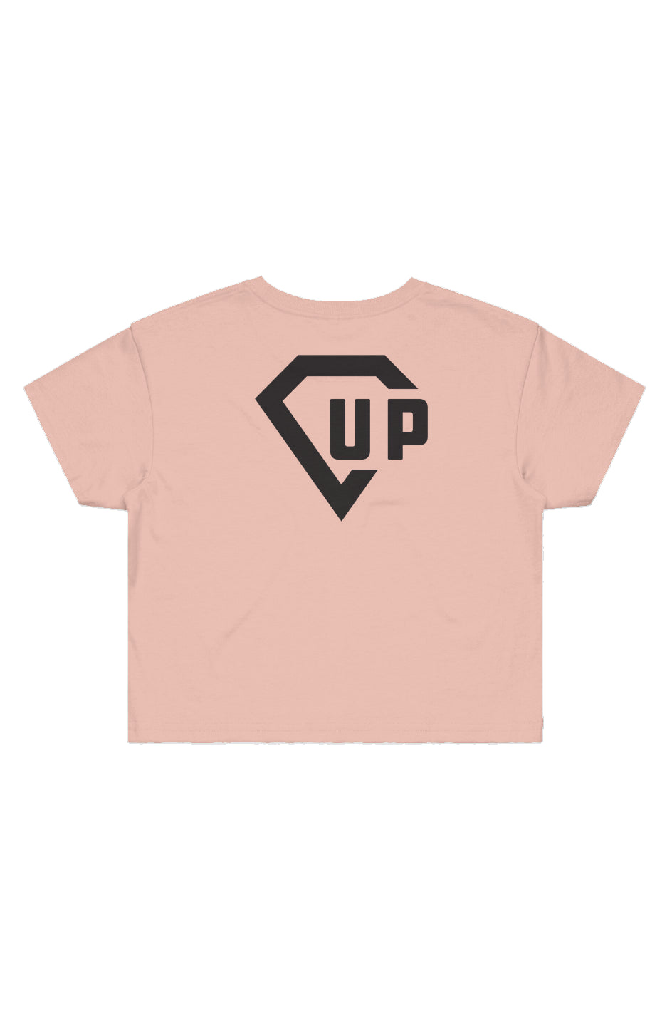 New Panther Party Street Crop Tee