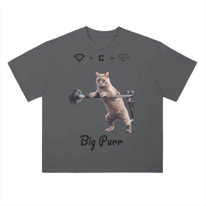 Big Purr Drop Shoulder T-Shirt